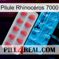 Pilule Rhinocéros 7000 new14